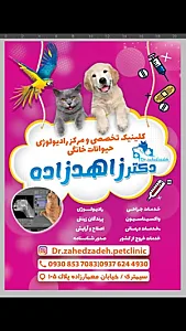 کلینیک دامپزشکی دکتر زاهدزاده
