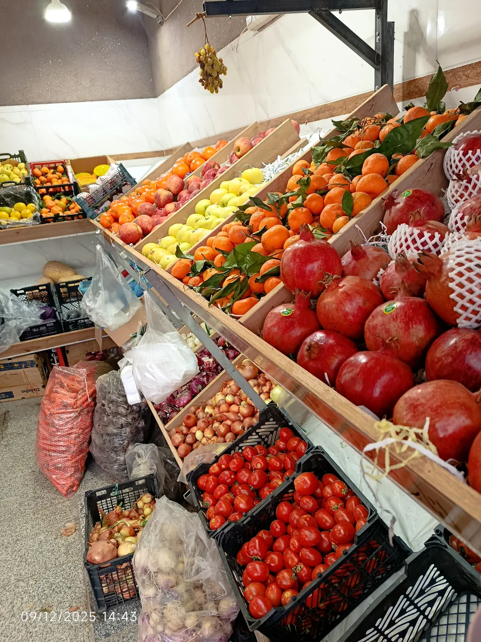 میوه وسبزیجات زیتون - تصویر 2