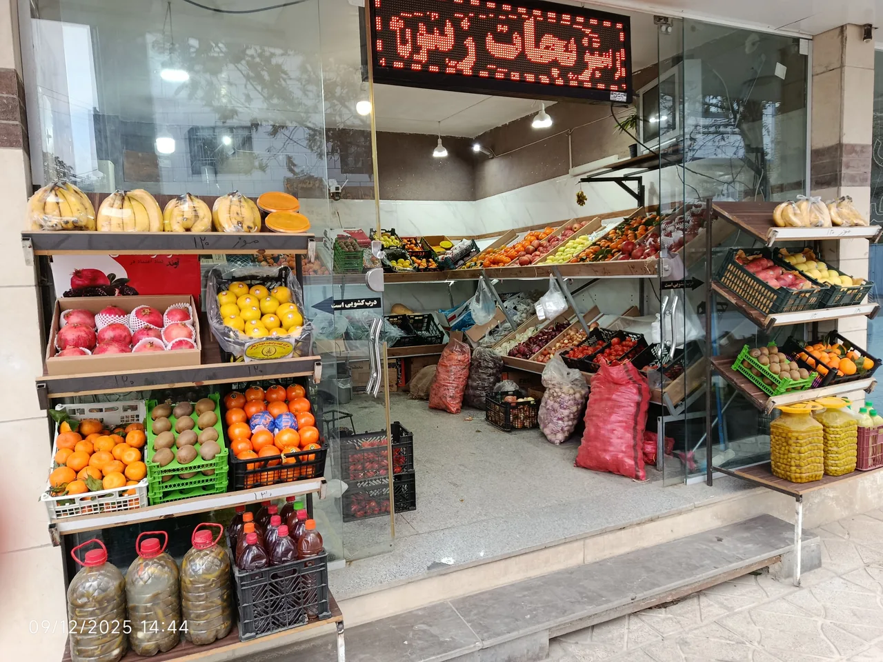 میوه وسبزیجات زیتون - تصویر 3