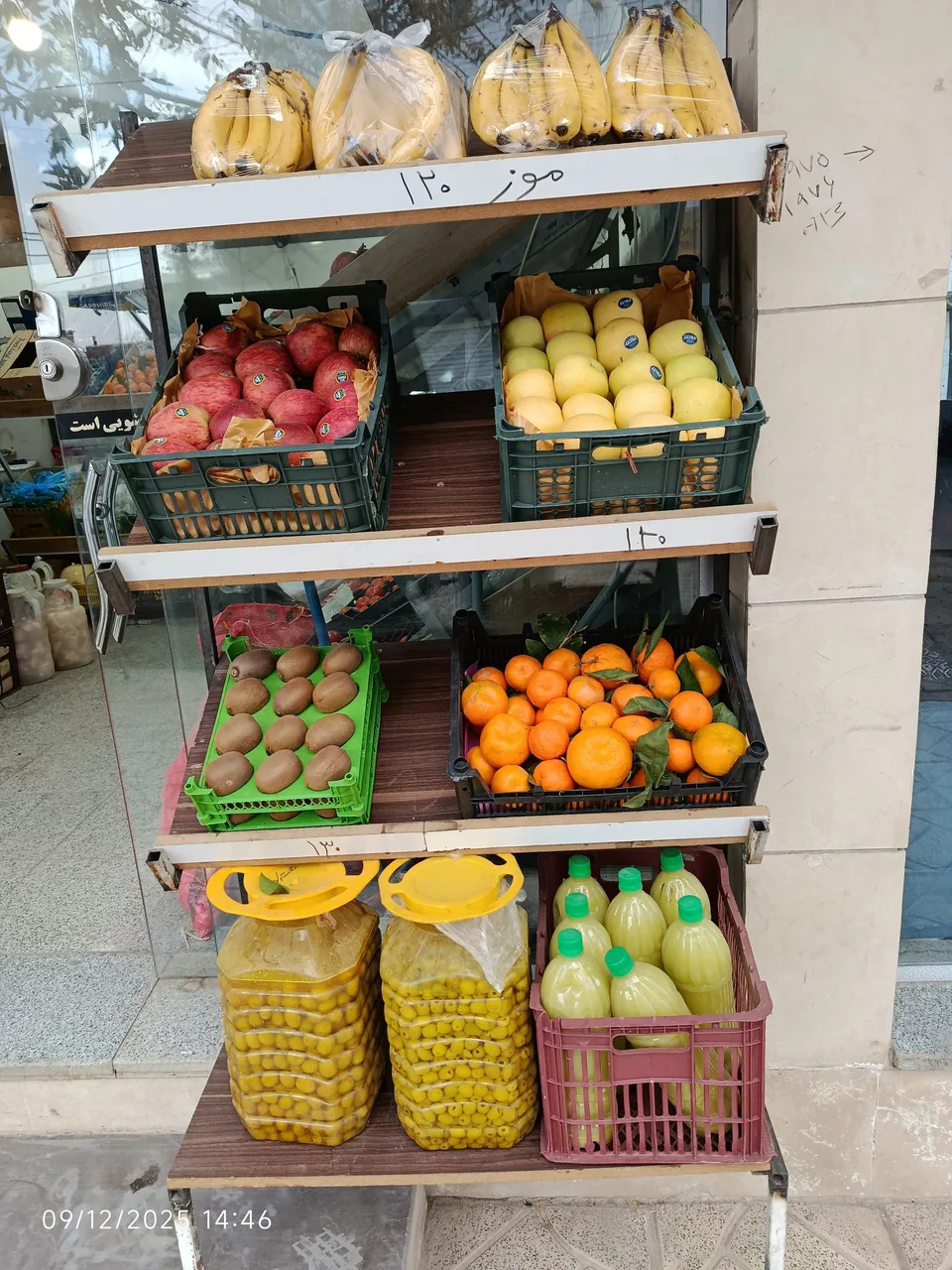 میوه وسبزیجات زیتون - تصویر 4