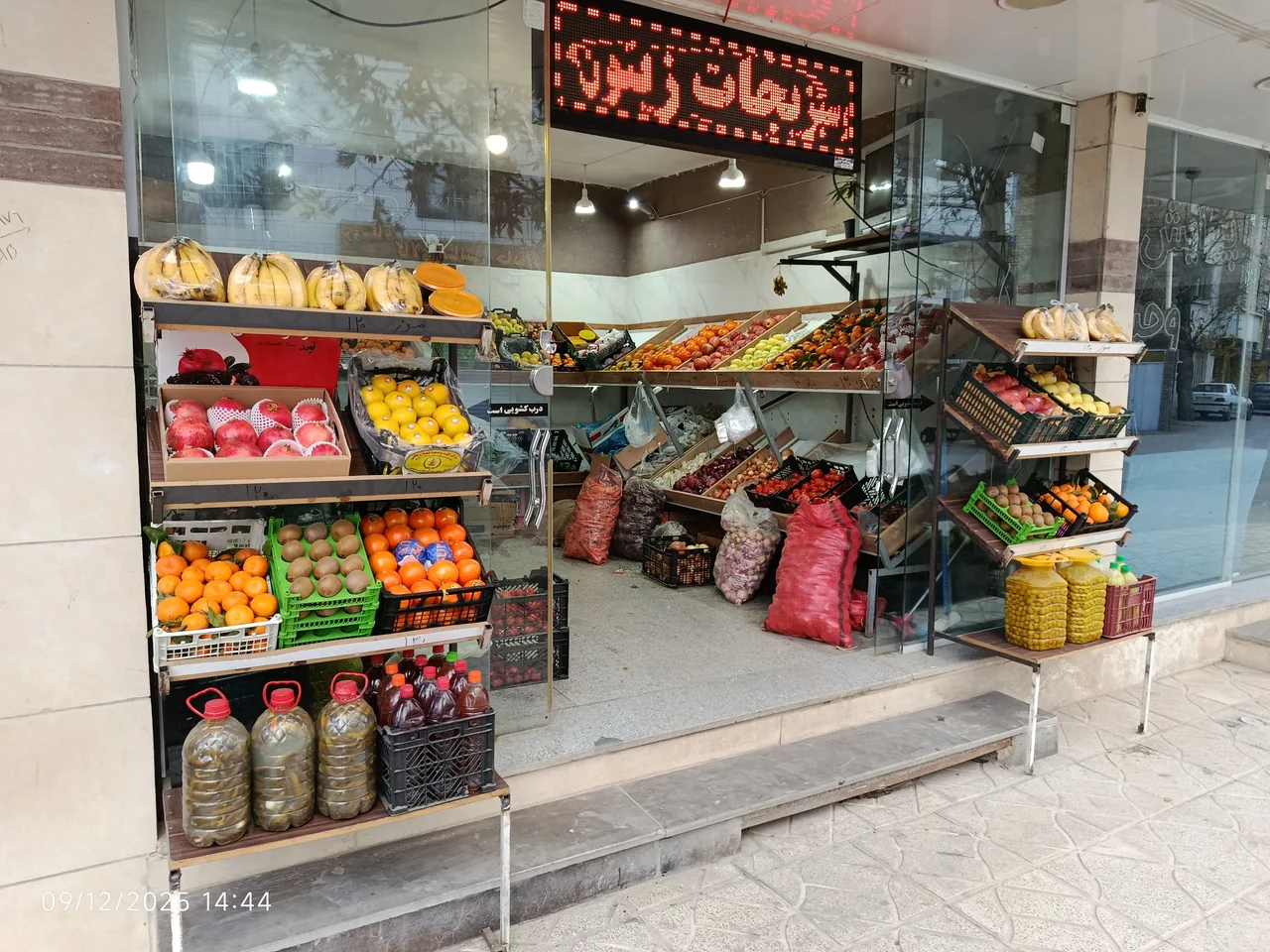 میوه وسبزیجات زیتون - تصویر 5