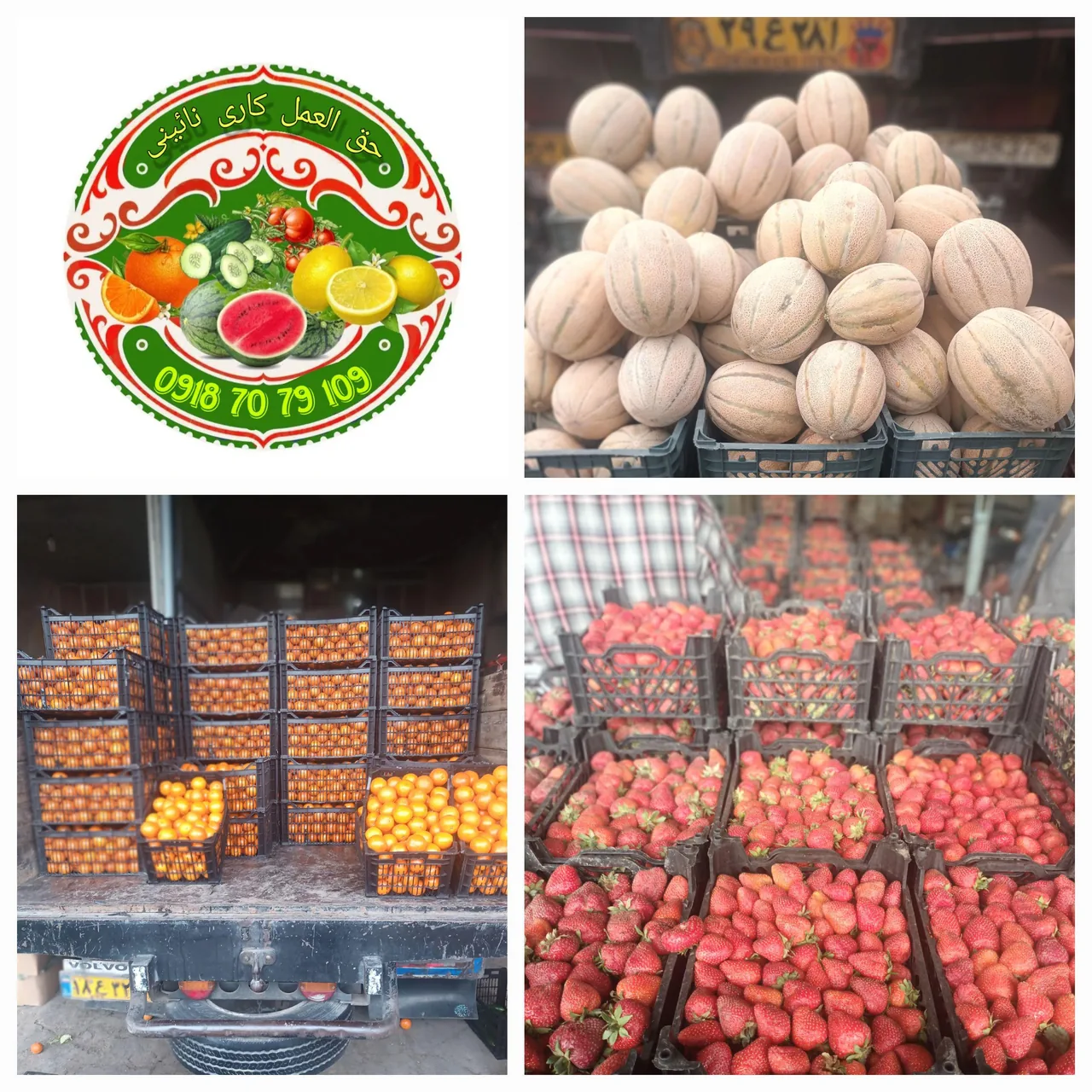 بارفروشی و حق العمل کاری نائینی - میوه و تره‌بار در همدان - تصویر 3