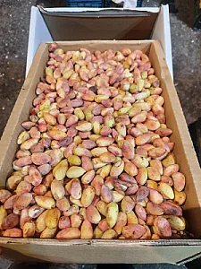 میوه فروشی روناسی