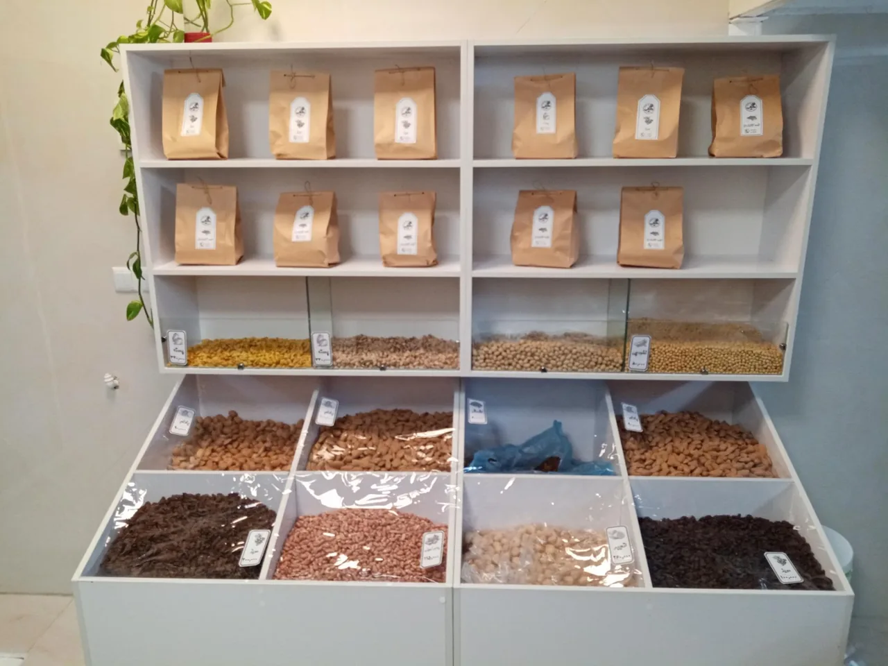 آجیل سرای کانی - آجیل و خشکبار در اراک - تصویر 2