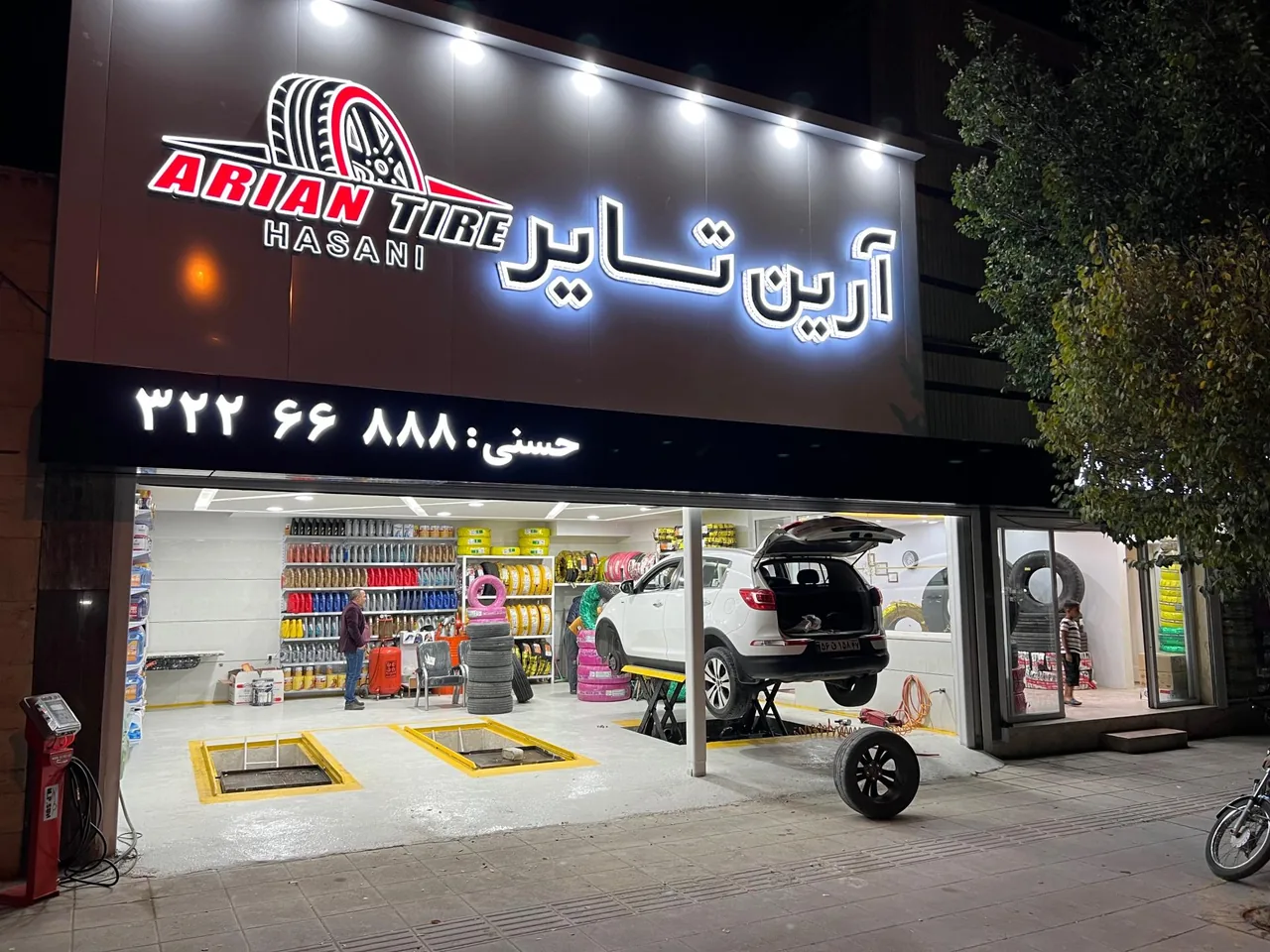 آرین تایر حسنی - تصویر 2