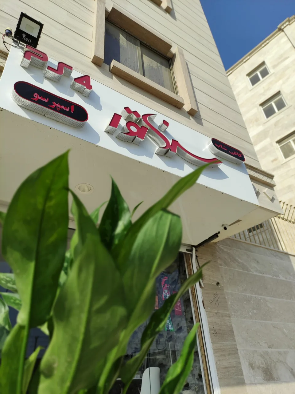 کافه سناتور - تصویر 2