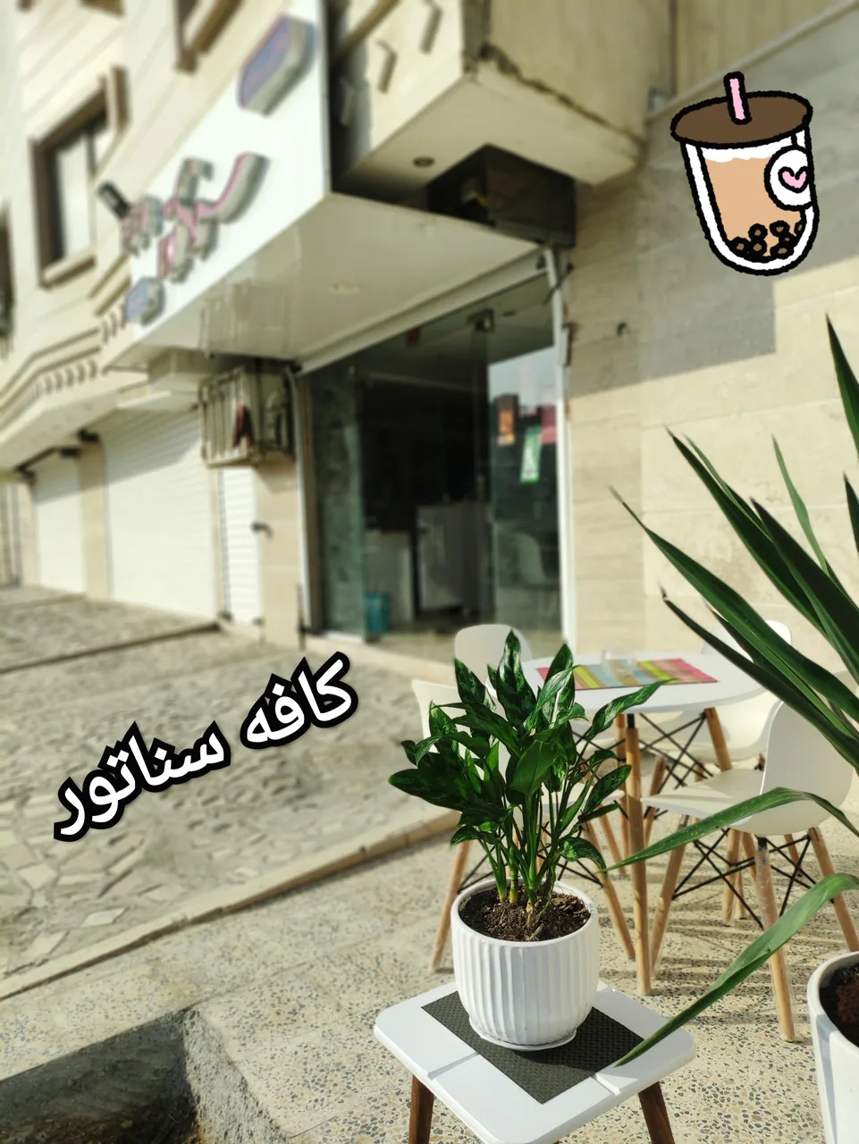 کافه سناتور - تصویر 3