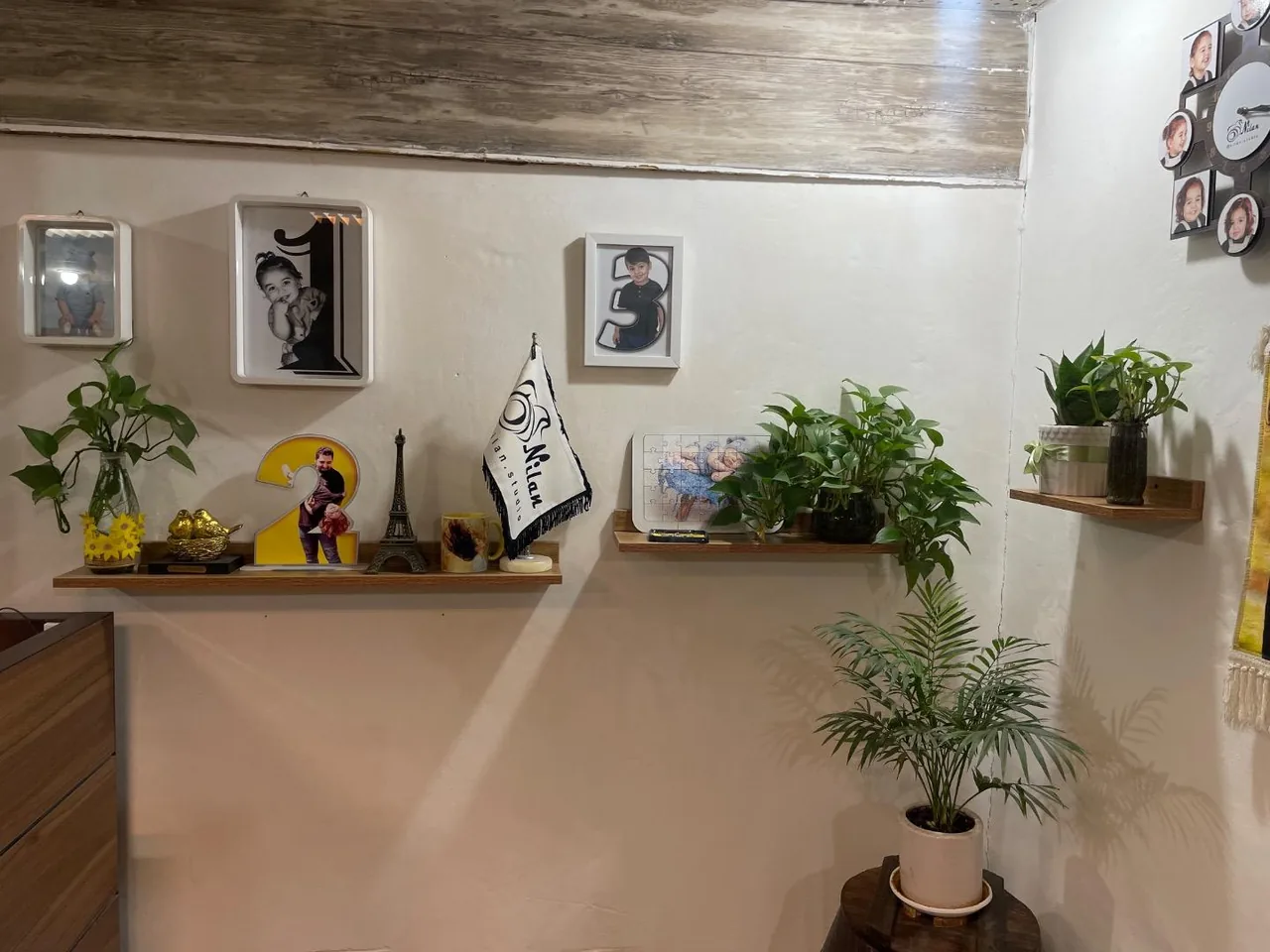 آتلیه نیلان