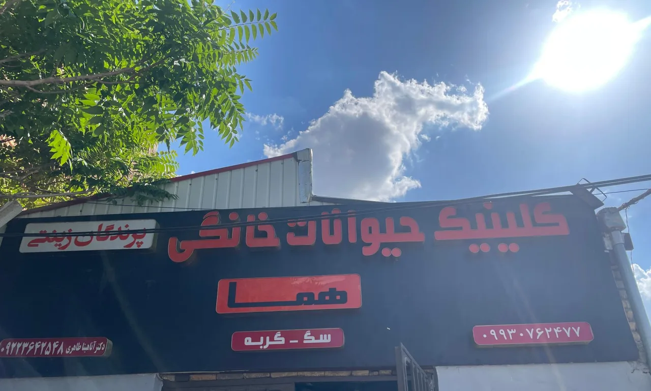 کلینیک دامپزشکی حیوانات خانگی و پرندگان زینتی هما - تصویر 2