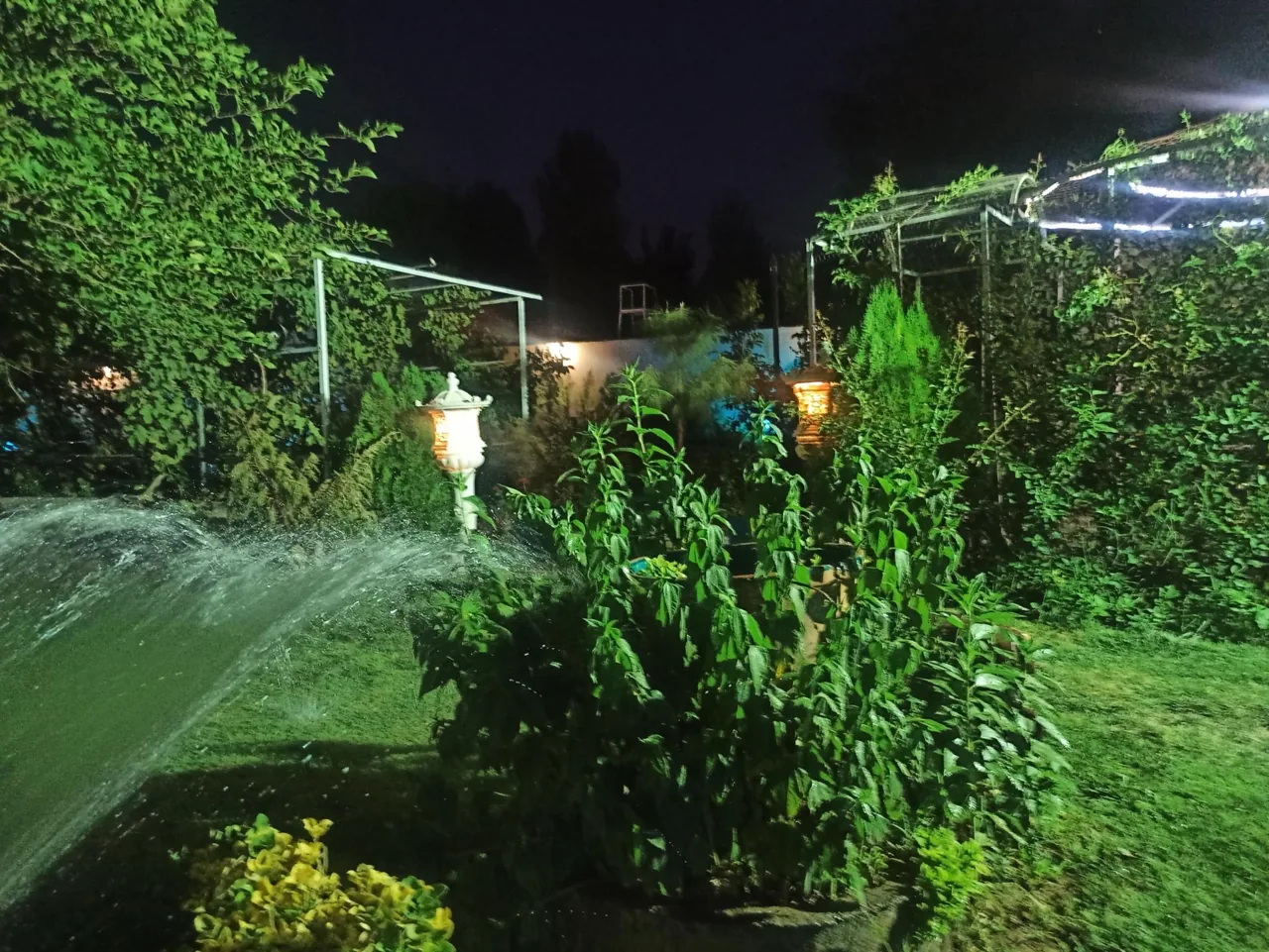 تالار باغ رز - تصویر 5