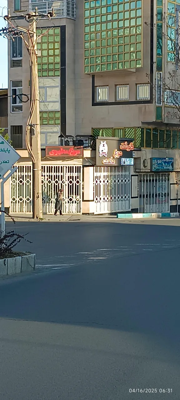پروتئین گوشت مرغ تهران - تصویر 5