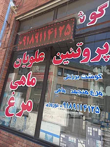پروتیین علویان نوروزی