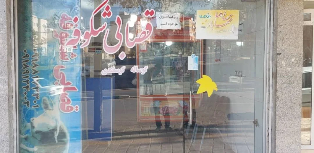 قصابی شکوفه
