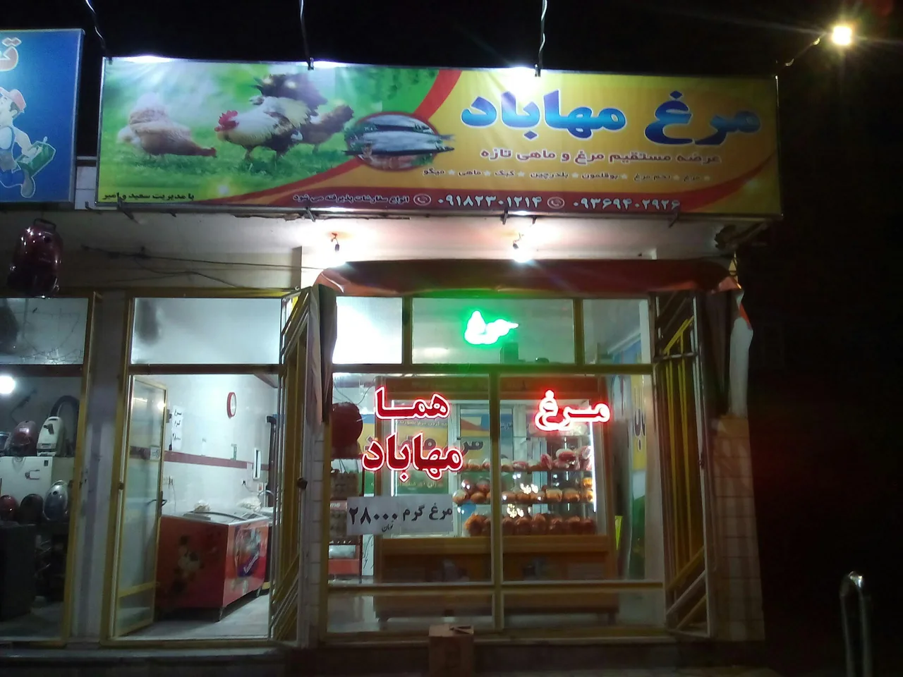مرغ الطافی - تصویر 2