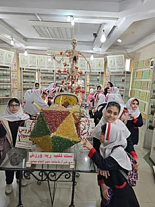 دبستان و پیش دبستان دخترانه ی مهر ماندگار