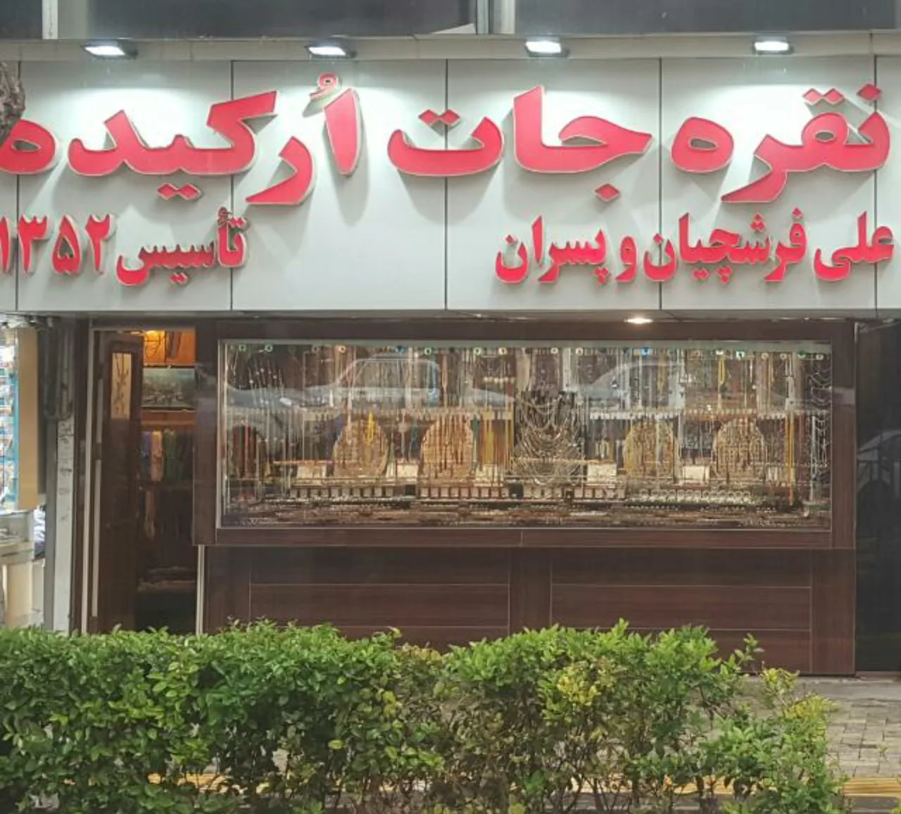 نقره جات ارکیده - تصویر 2