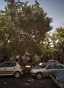 طلا فروشی
