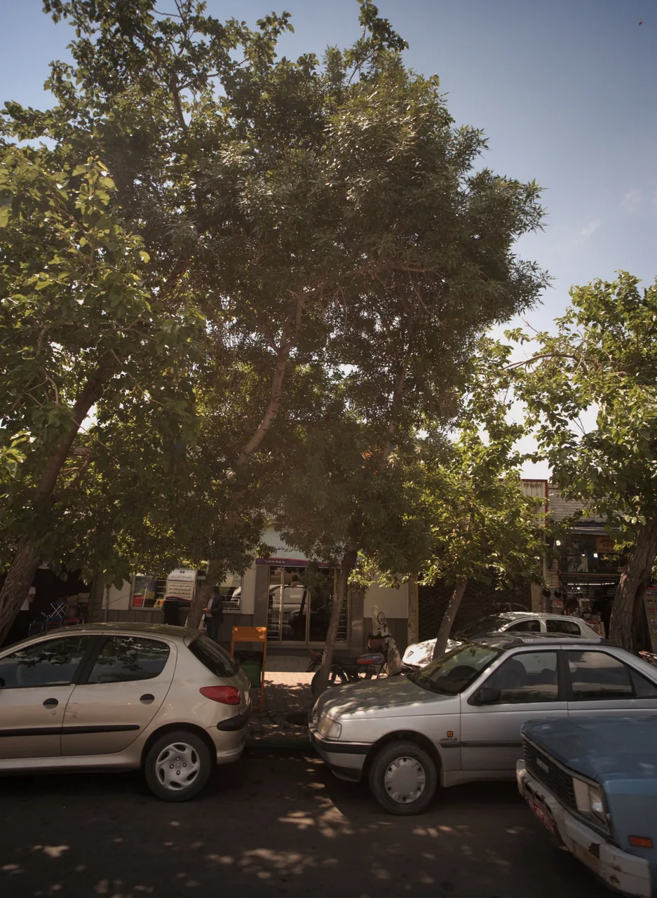 طلا فروشی