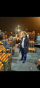 میوه تره بار پردیس