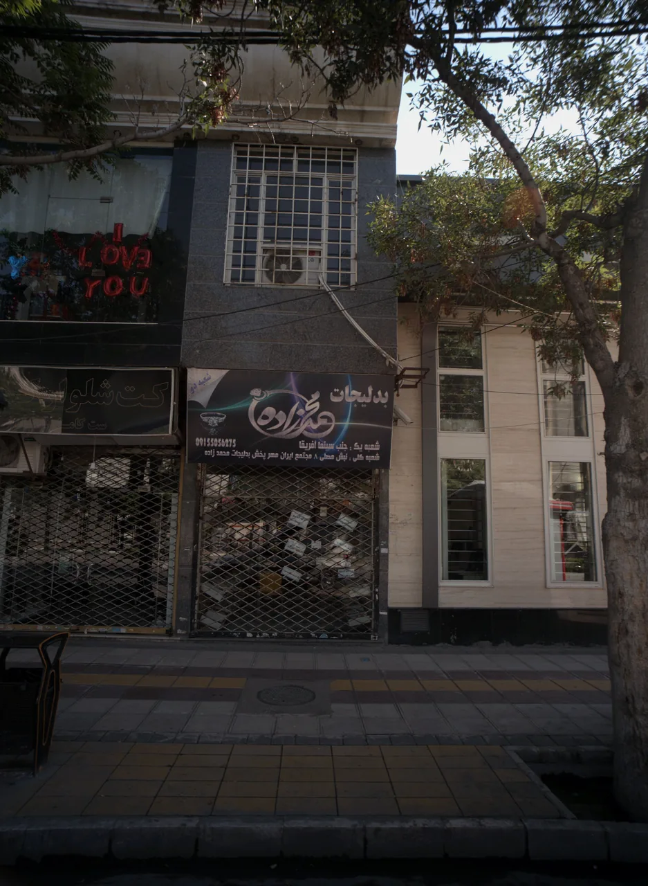 بدلیجات محمدزاده