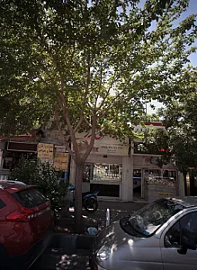 جواهری رز طلایی