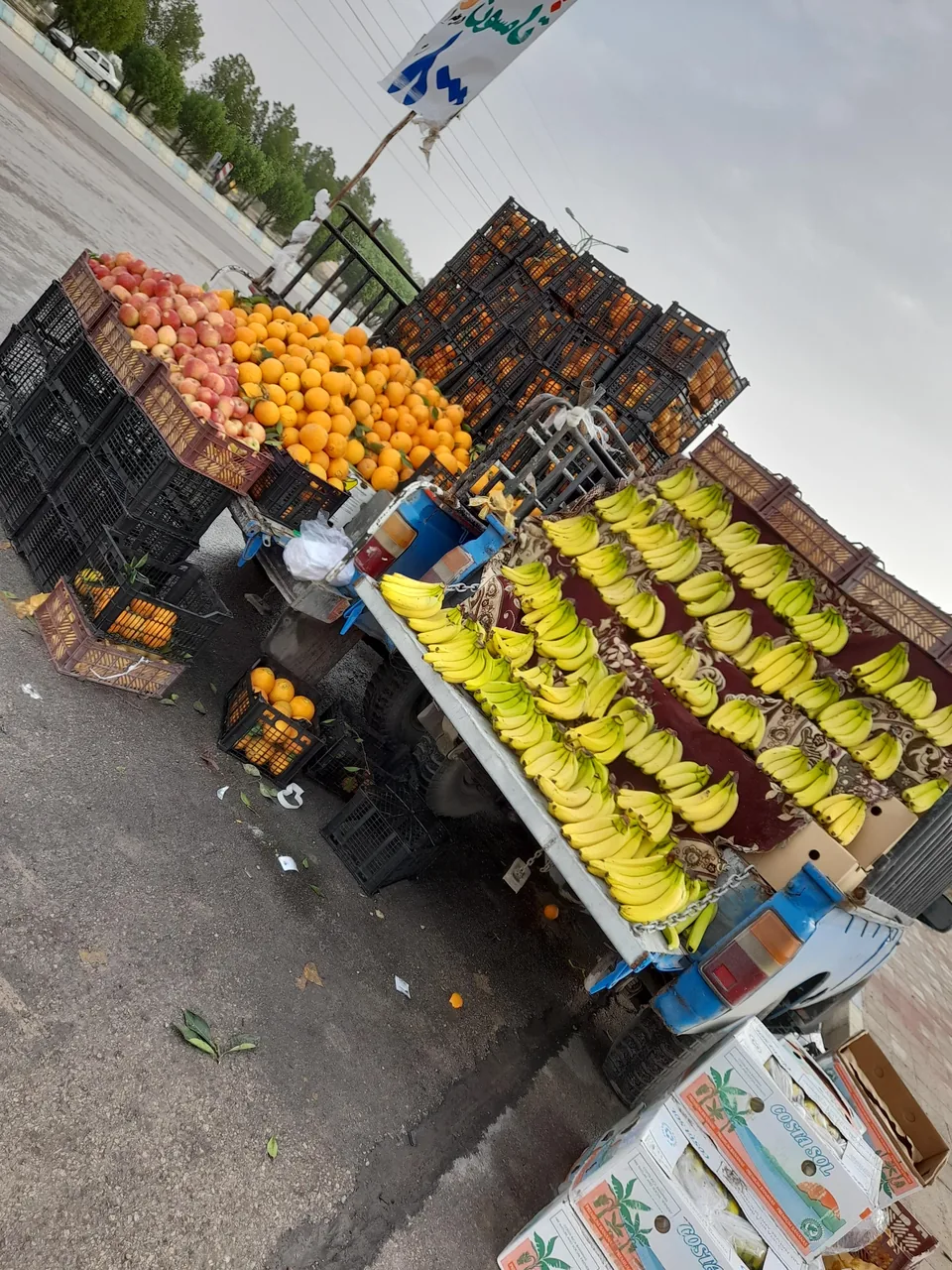 بازار میوه ماهی فروشی