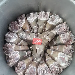 طباخی تدین