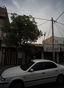 طلاجات محمدی