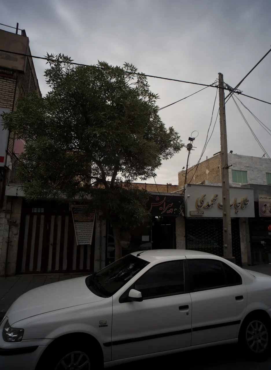 طلاجات محمدی
