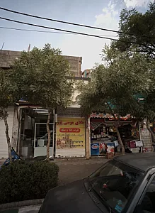 طلای موسی پور