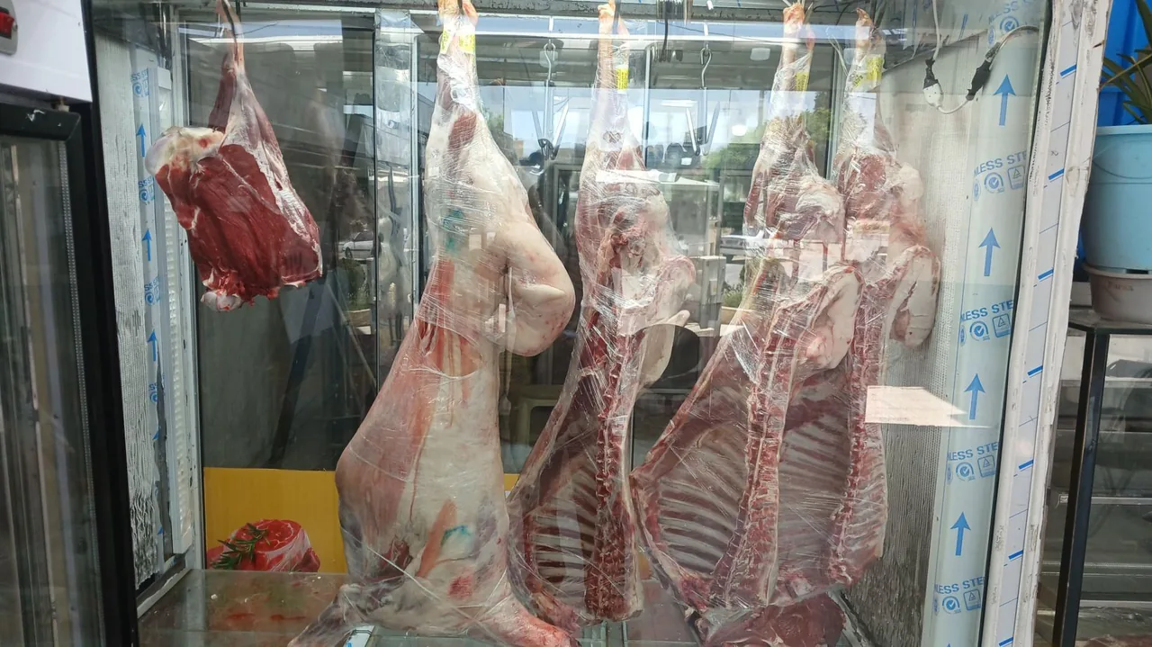 گوشت و مرغ سما