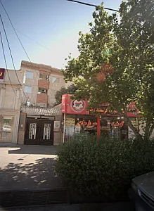 پروتئین یزداندوست