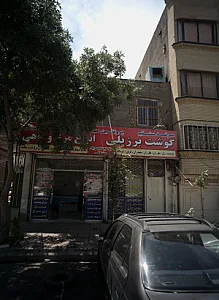 پروتئین مهدی