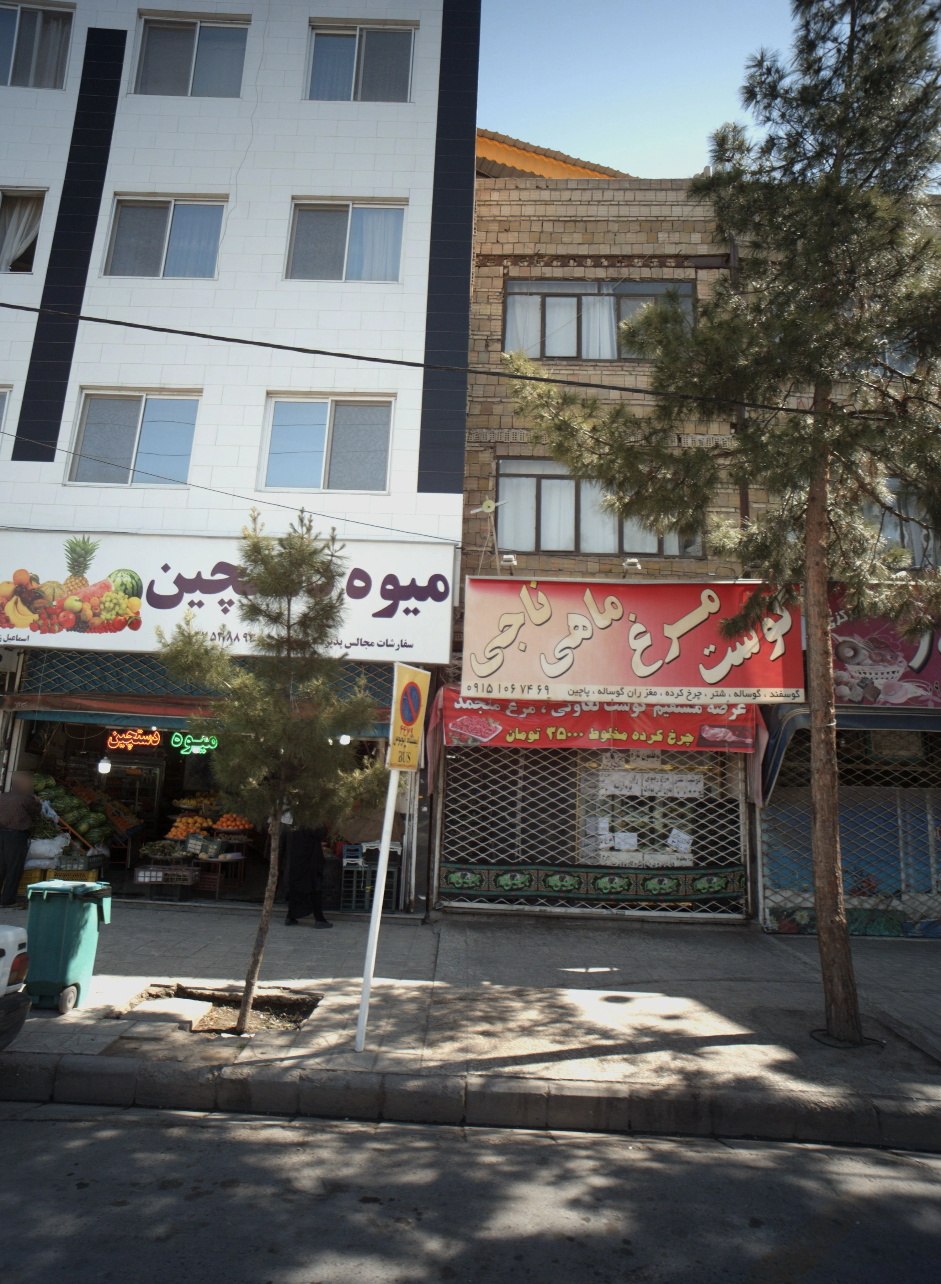 گوشت مرغ ماهی ناجی - گوشت، مرغ و پروتئینی در مشهد