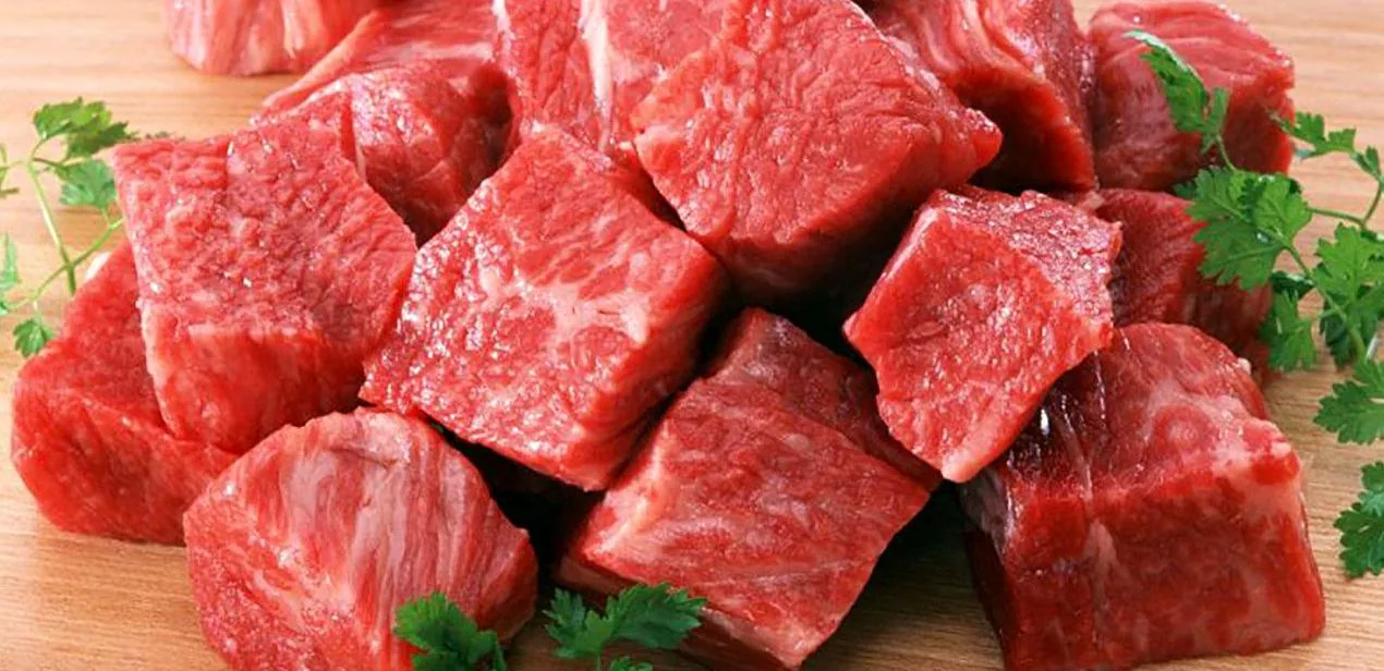 مرغ و گوشت اندیشه