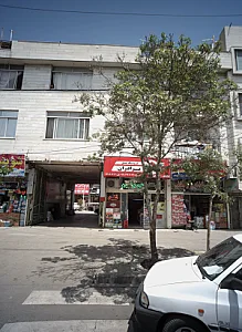 گوشت برزیلی ارکیان