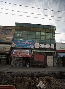 پروتئین دایی