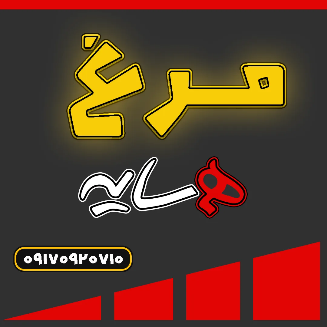 مرغ همسایه - تصویر 2