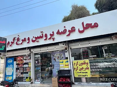 مرغ و پروتئین شهر