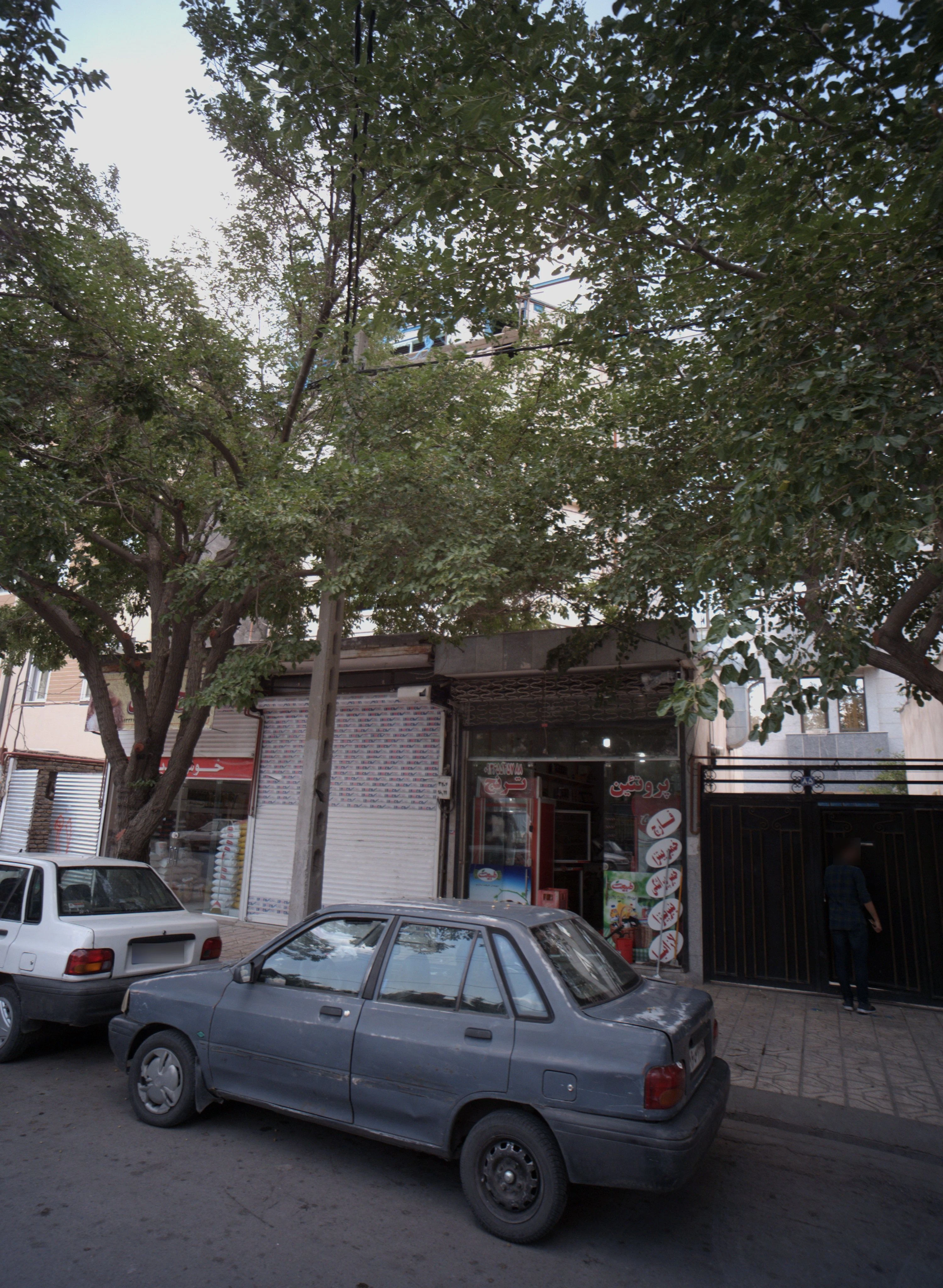 پروتئین ترنج - گوشت، مرغ و پروتئینی در مشهد