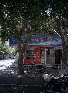 پروتئین بابا علی