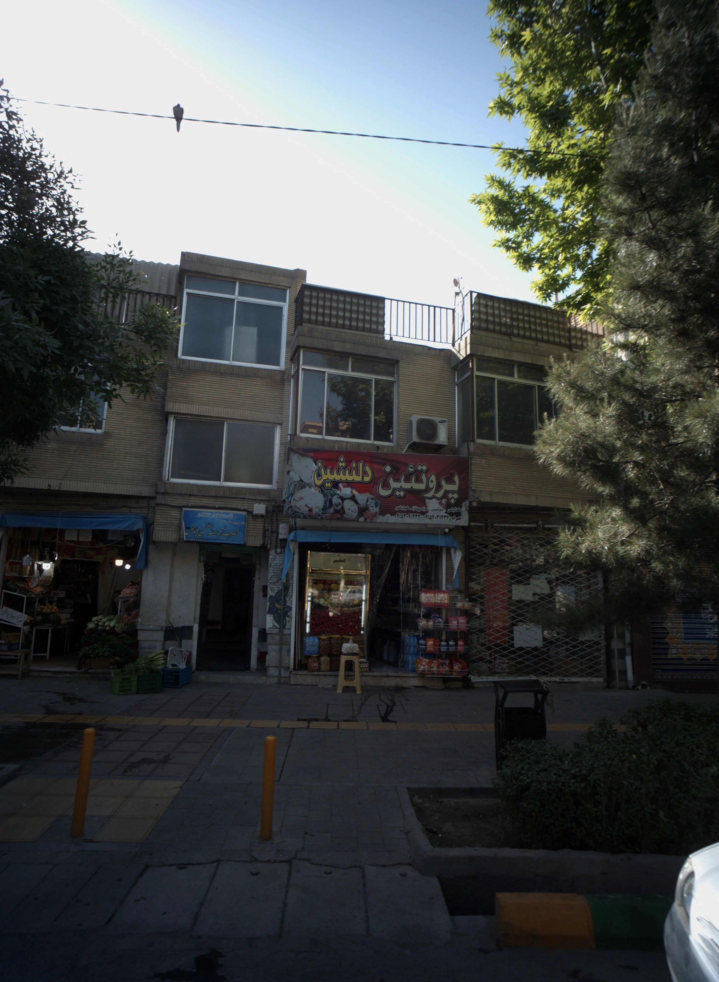 پروتئین دلنشین - گوشت، مرغ و پروتئینی در مشهد