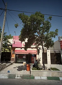 پروتئین رضوی
