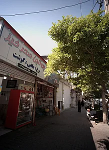 پروتئین سحر خیز