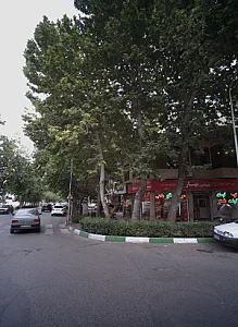 پروتئین بهار