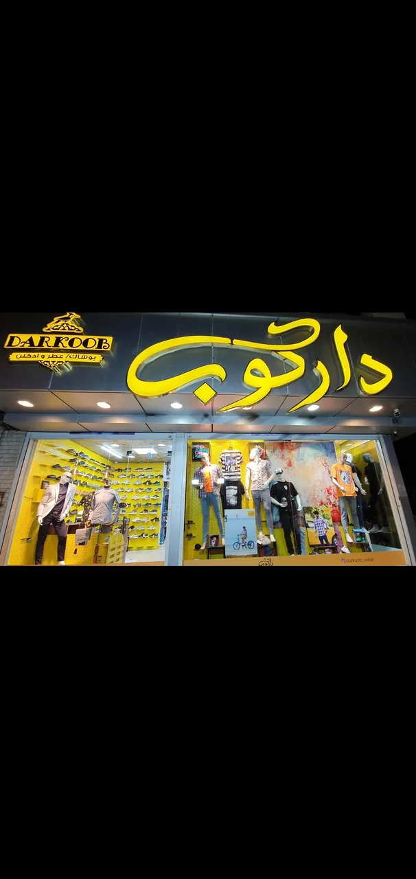 پوشاک دارکوب - تصویر 2