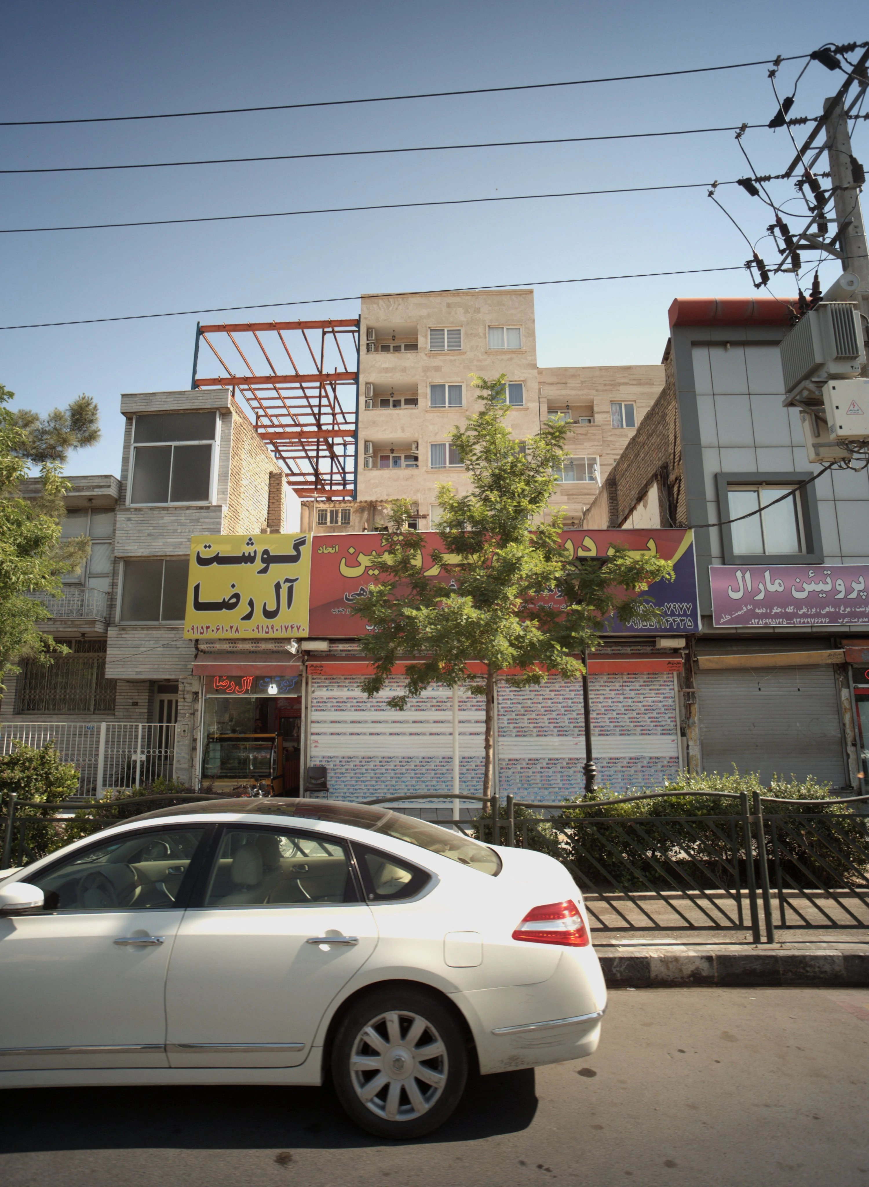 پروتئین مارال - گوشت، مرغ و پروتئینی در مشهد