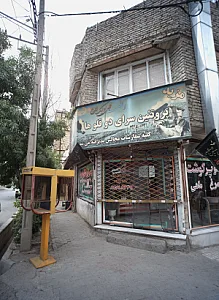 پروتئین سرای دوقلوها