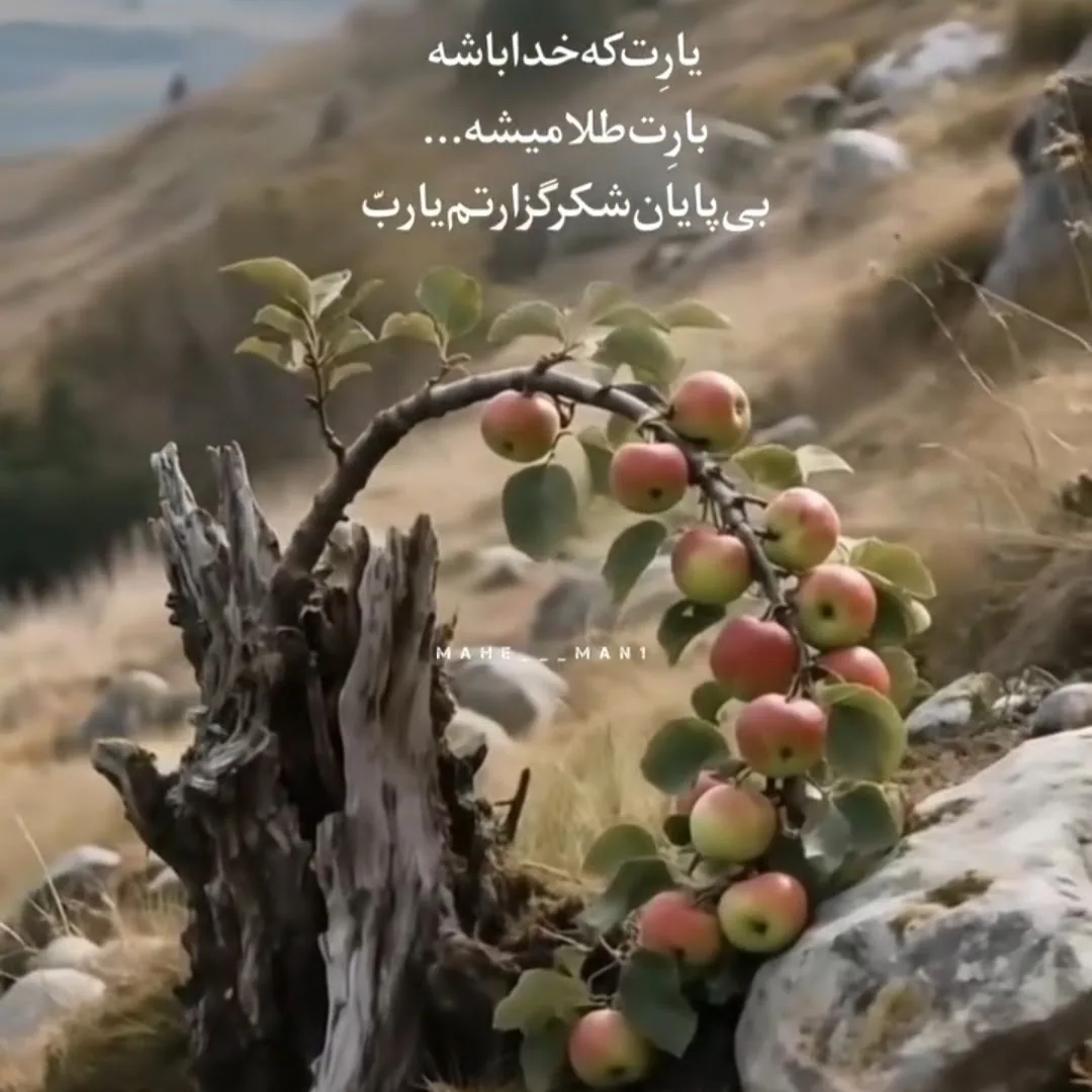 ابزار یراق و ساختمانی رزاق - تصویر 2