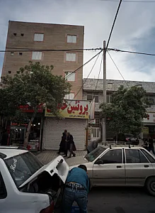 پخش مرغ برادران شهمیری (پروتئین خطایی)
